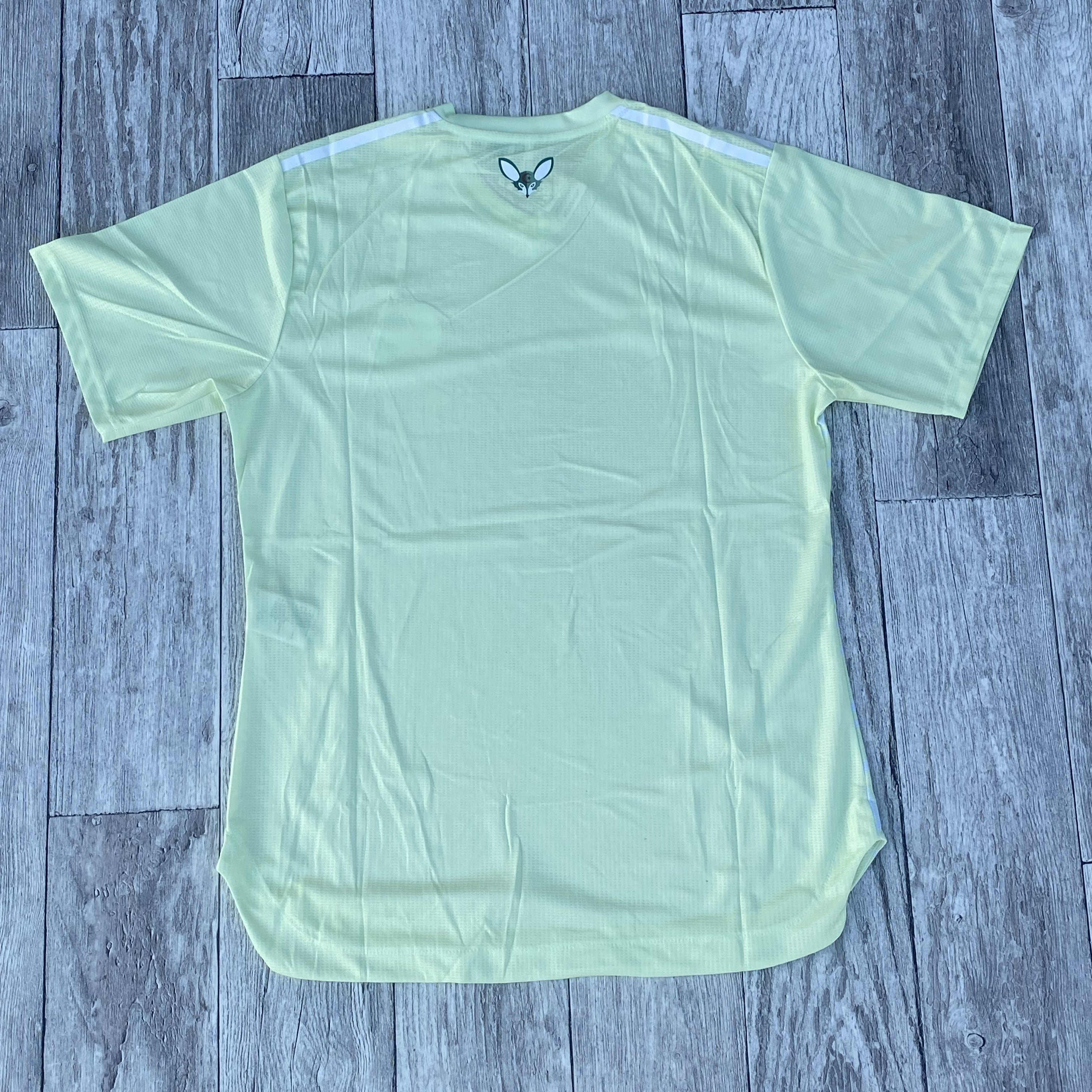 Maillot Algerie Vert Pistache - 2025/2026